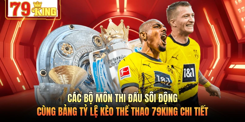 Các bộ môn thi đấu sôi động cùng bảng tỷ lệ kèo thể thao 79KING chi tiết