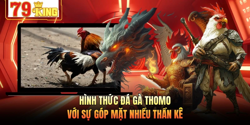 Hình thức đá gà Thomo với sự góp mặt nhiều thần kê