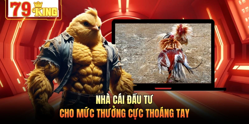 Nhà cái đầu tư cho mức thưởng cực thoáng tay