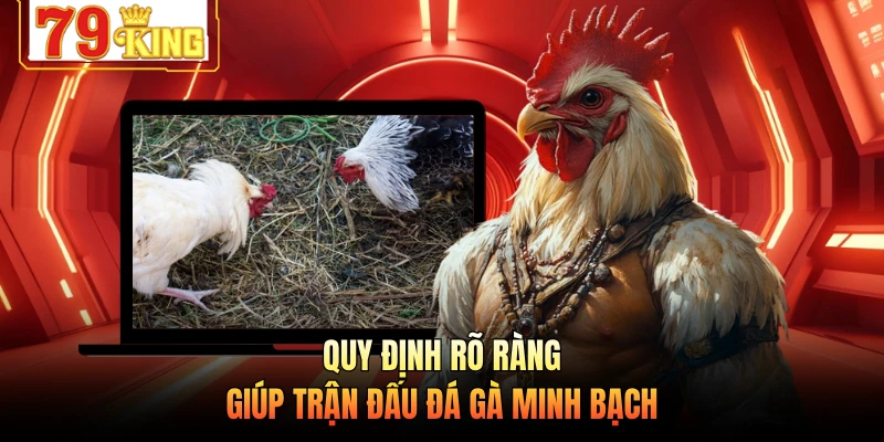 Quy định rõ ràng giúp trận đấu đá gà minh bạch 